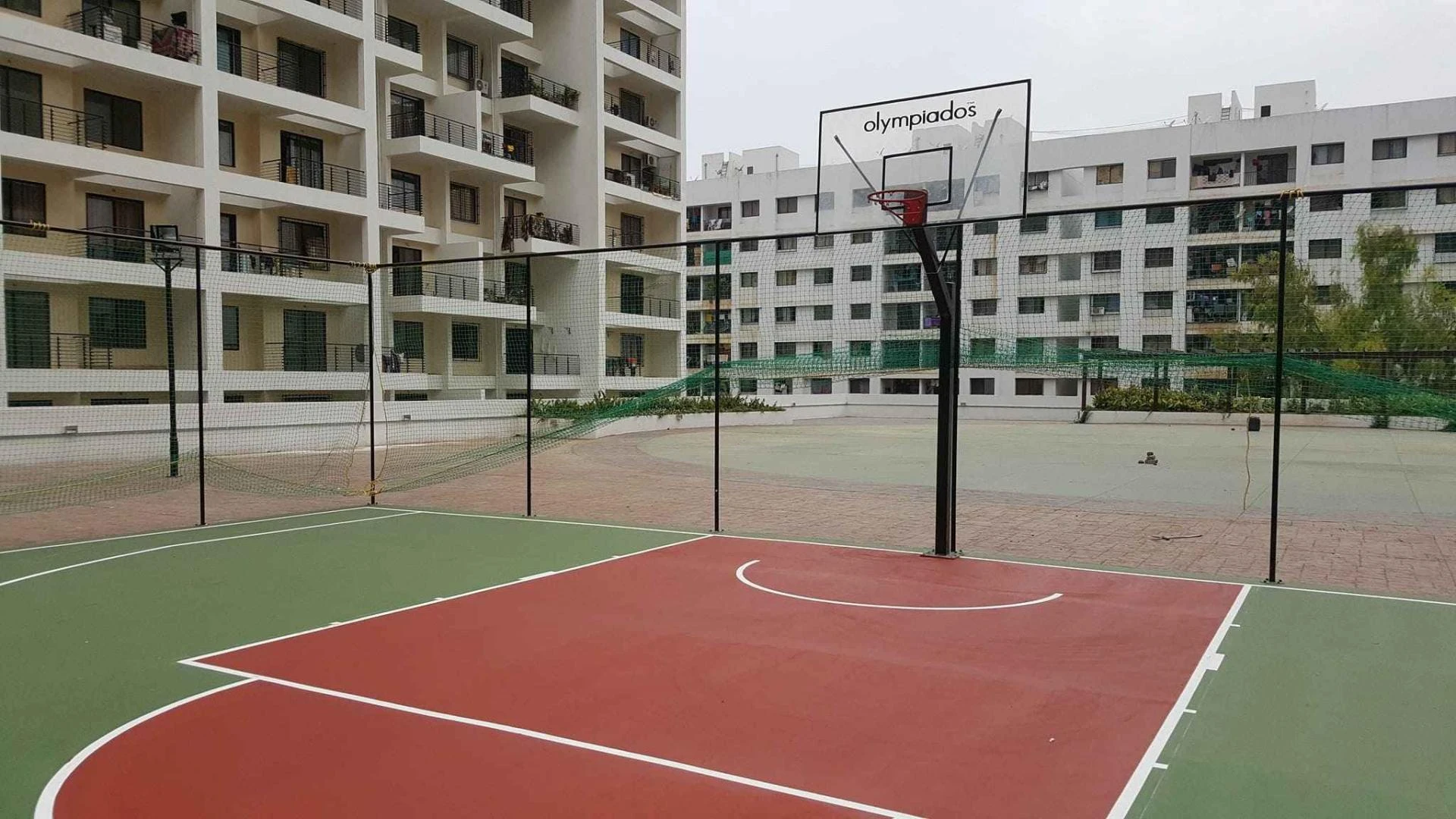 Rise of basketball in India