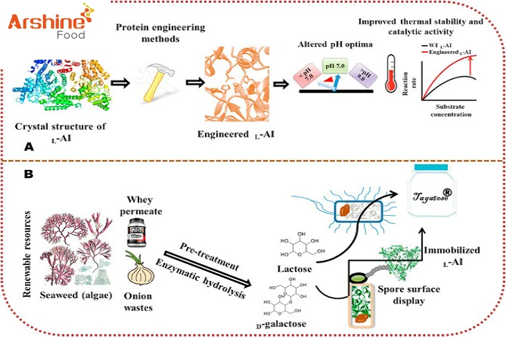 L-ARABINOSE HAS BROAD APPLICATION PROSPECTS IN COMPOUND FOOD INGREDIENTS