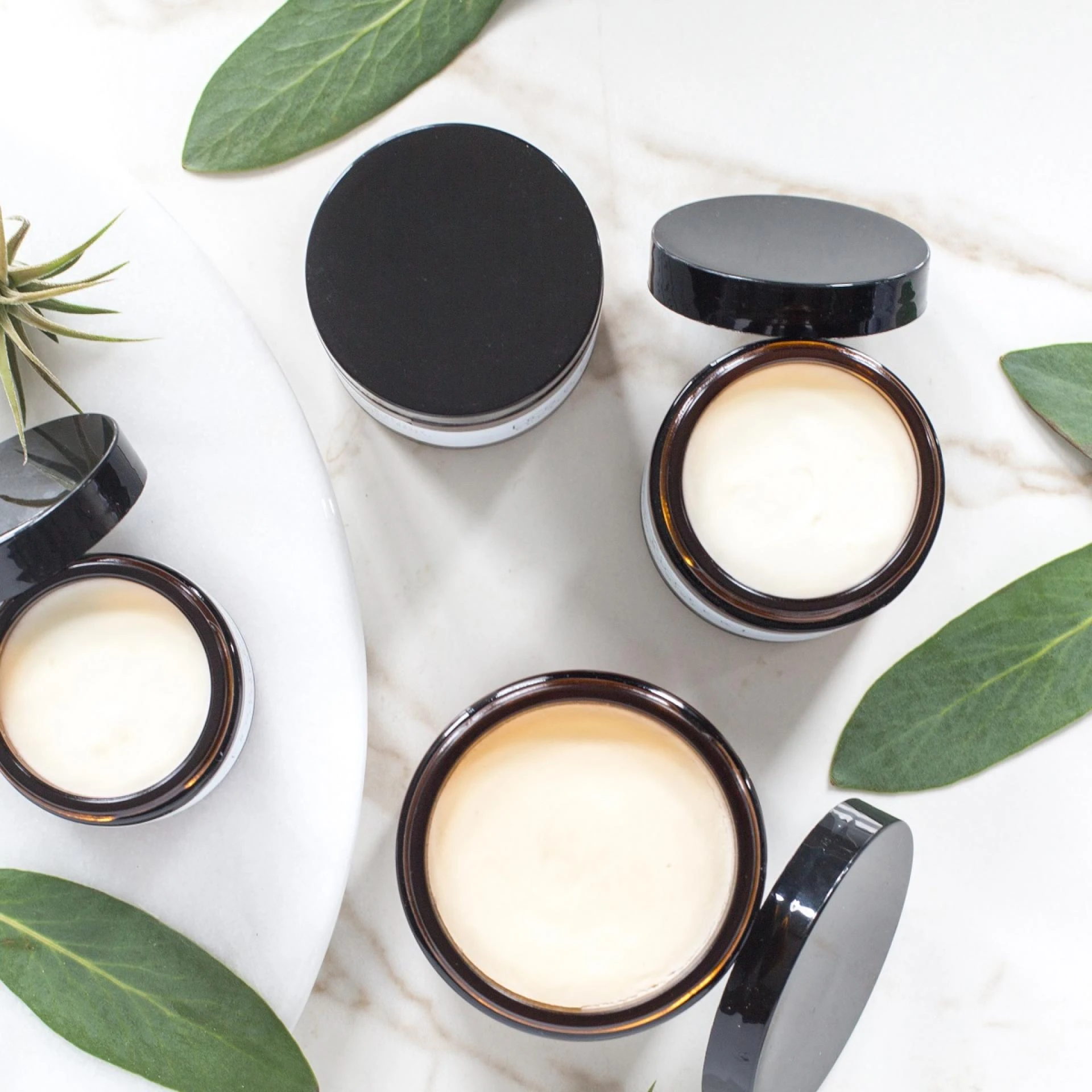 How Nature Gives Your Skin Exactly What It Needs