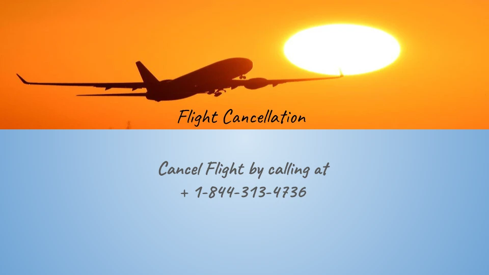 Make your cancellation simple with Norwegian refund policy