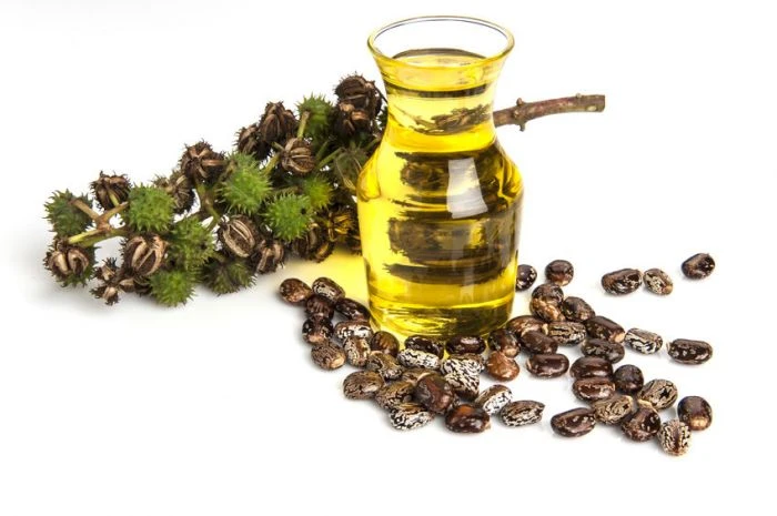 Castor Oil Market Size, Trends, Industry Overview, Analysis and Forecast to 2027