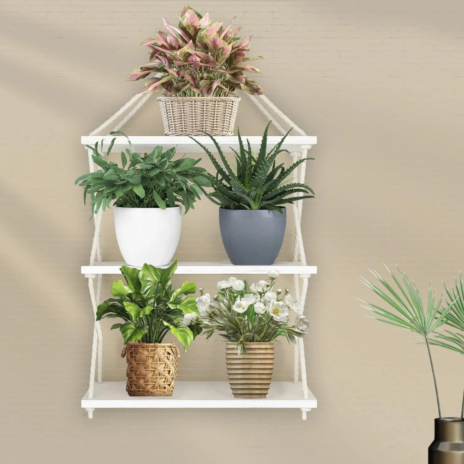 Elevating Green Spaces 😍Exploring the Art and Utility of Planters🌿🌿