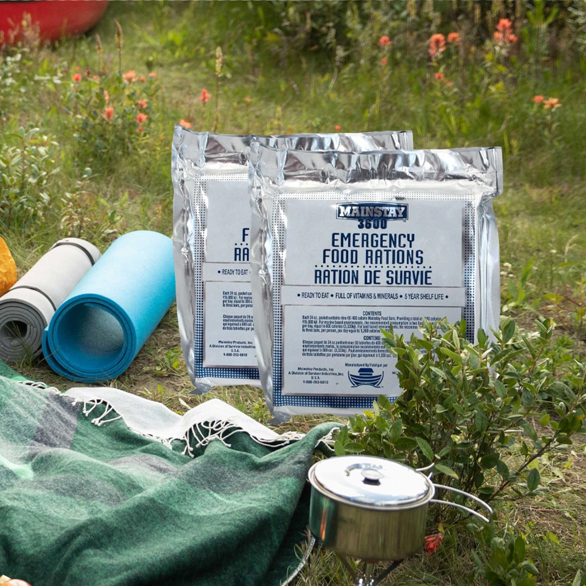 How to Ensure You Have Food During an Emergency