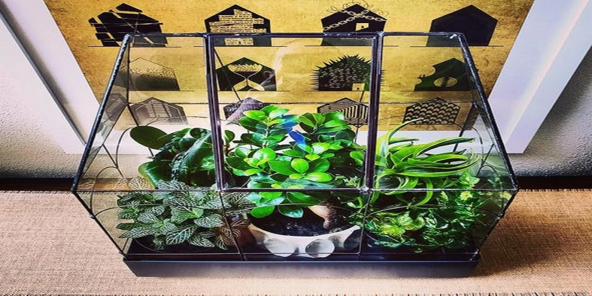 Key Benefits of Using a Terrarium Planter