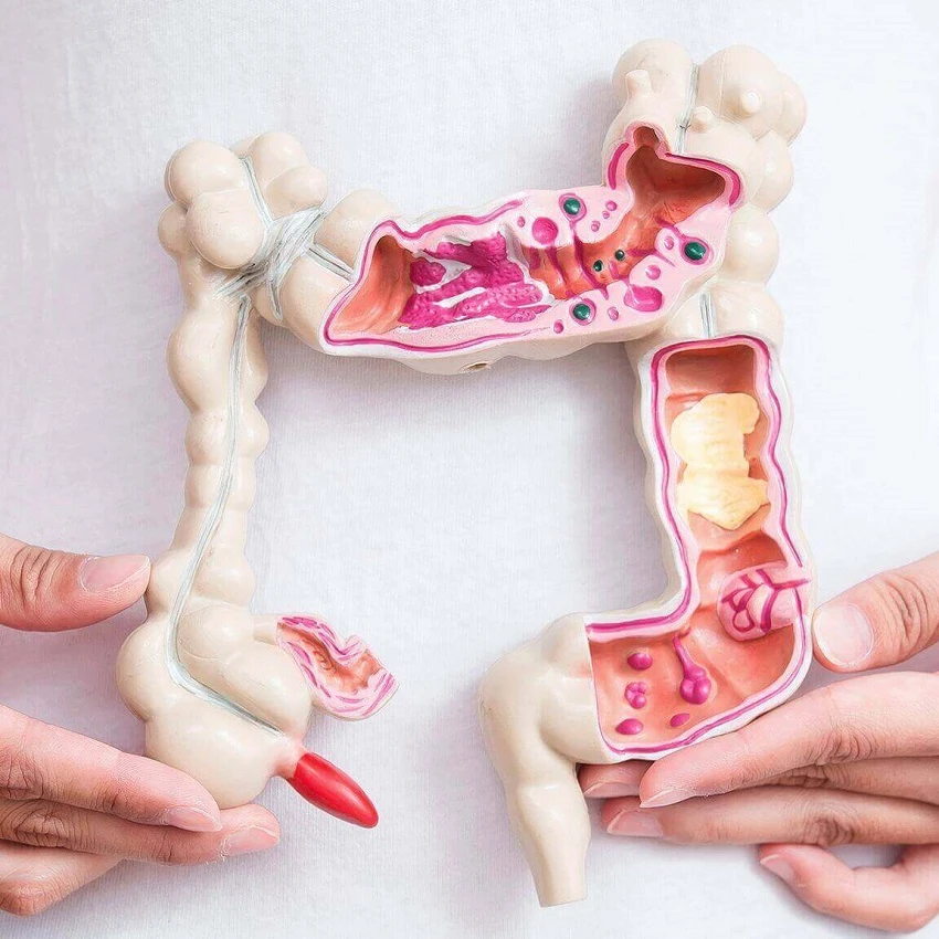 Hernia Specialist in Pune