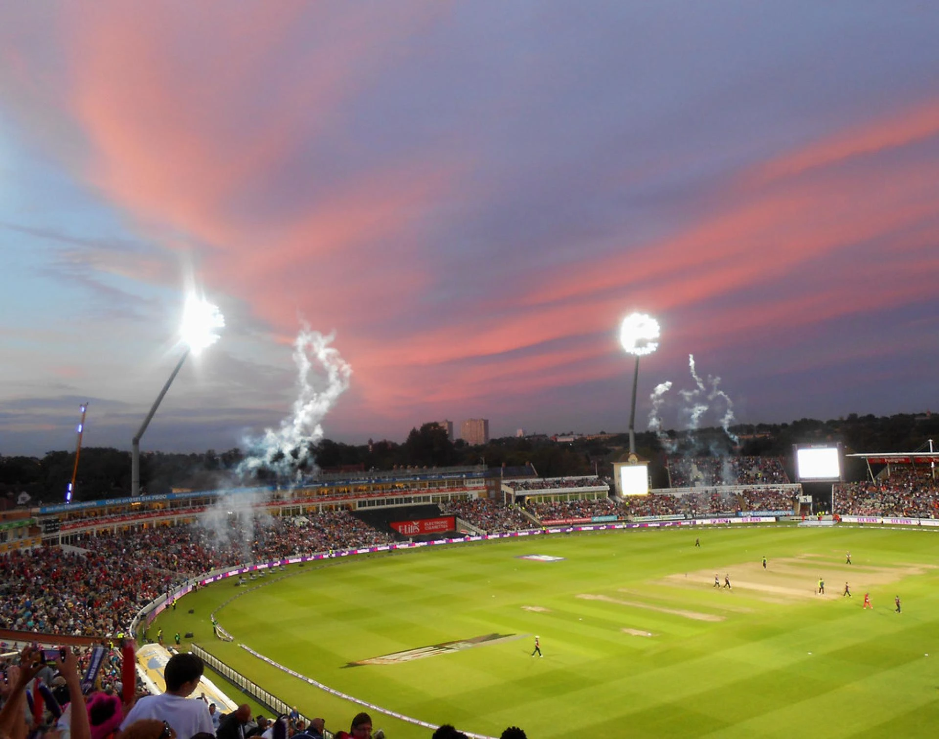 Navigating the Wicket: Essential Tips When Selecting the Ideal Cricket Betting Platform