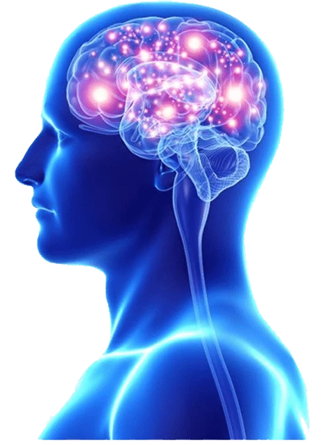 Best Hospital management software in Mumbai