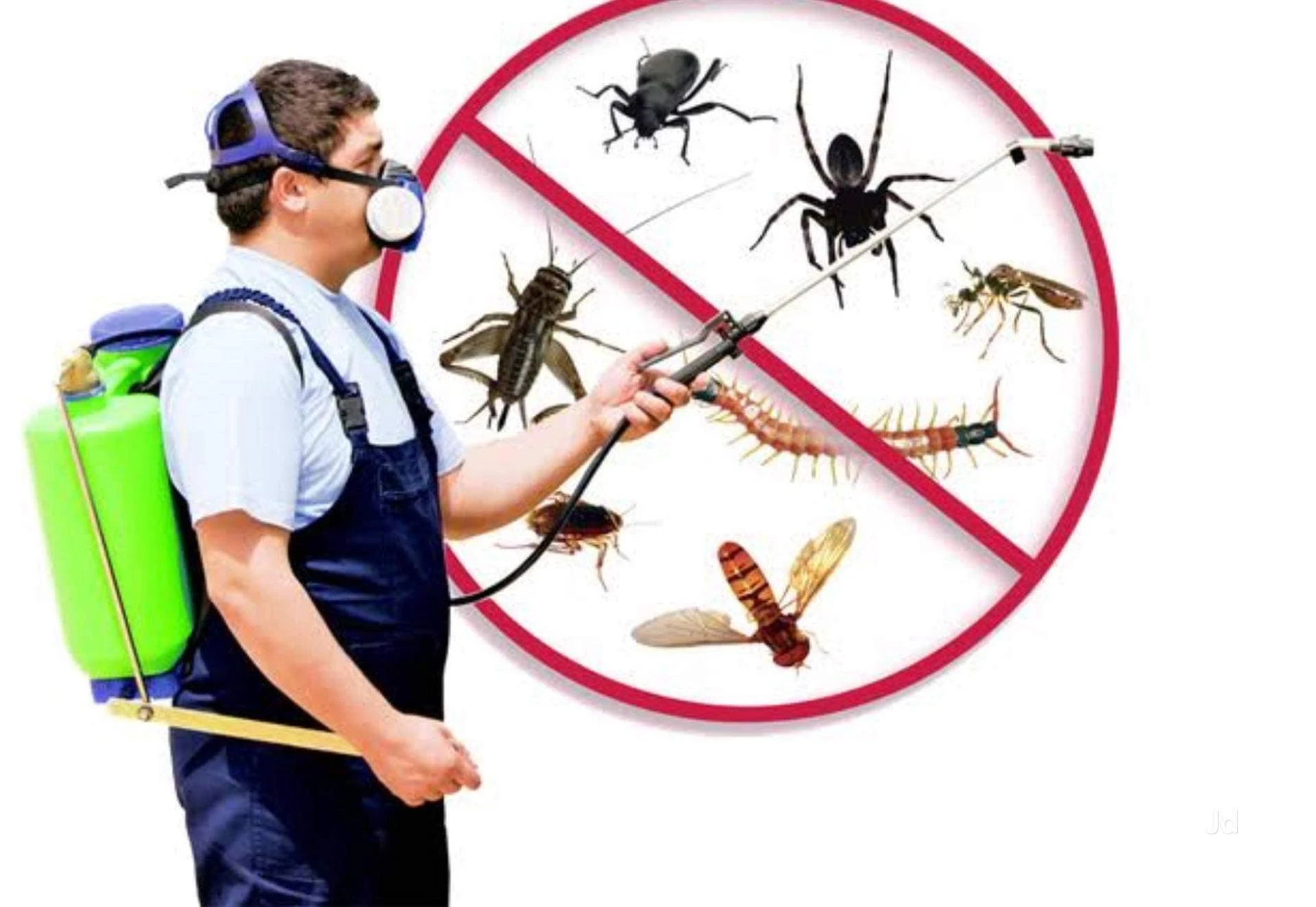 Pest Control Sydney