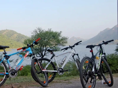 The Joy and Benefits of Cycling Tours