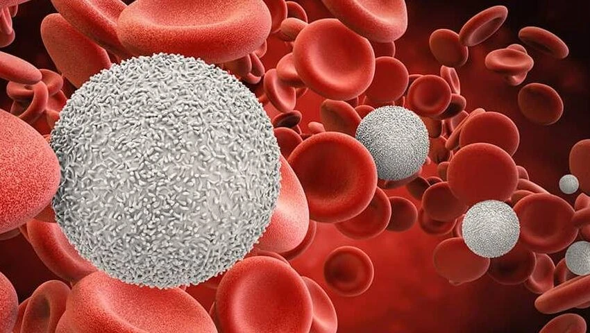 Blood Cancer Treatment, Types, Diagnosis - Dr. Pratik Patil