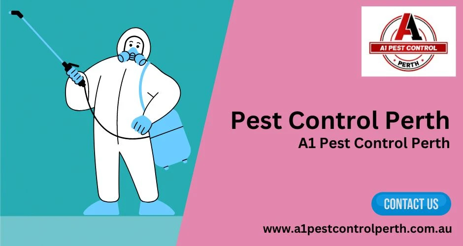 How to Choose the Right Pest Control Company in Perth: Factors to Consider