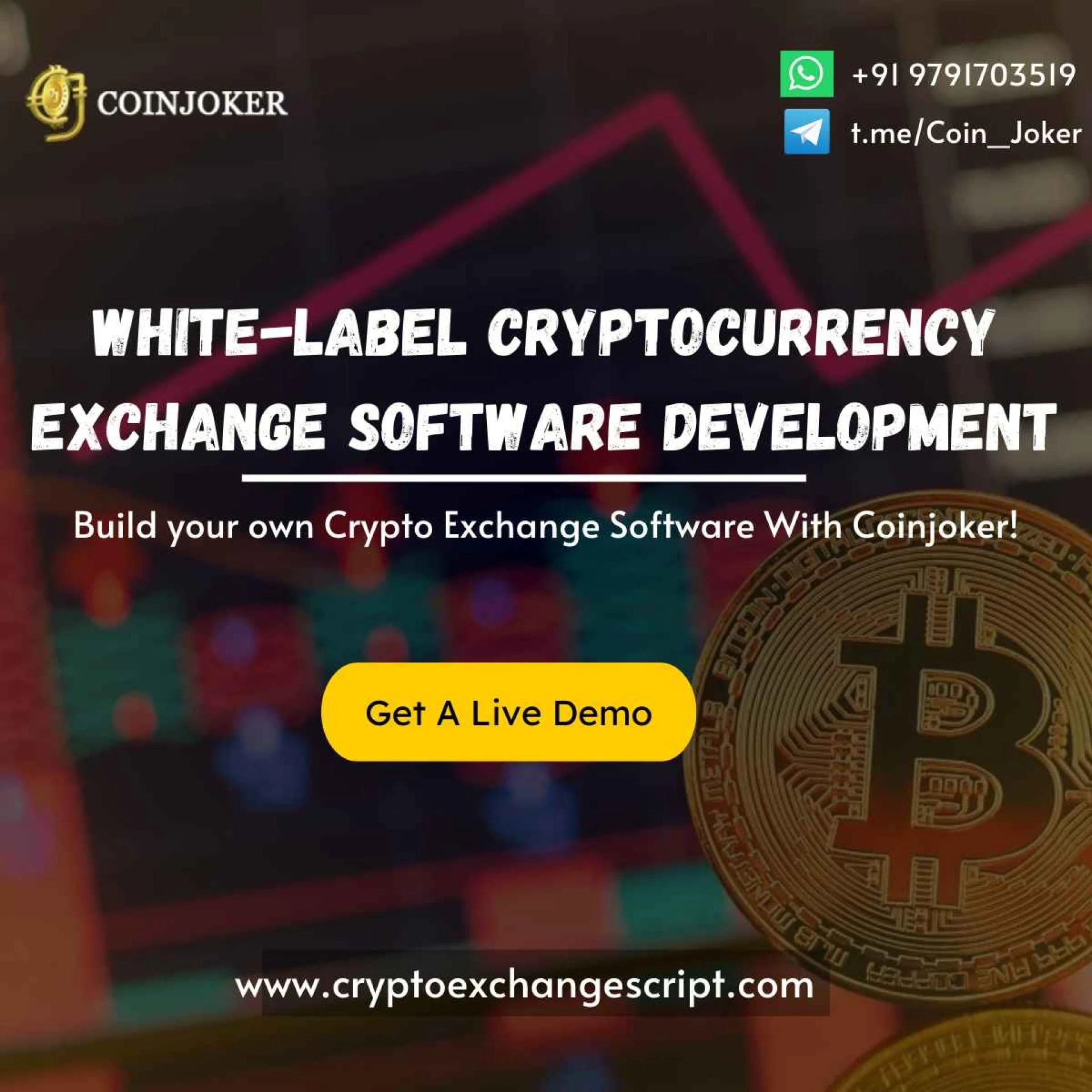 The Ultimate Guide to Whitelabel Cryptocurrency Exchange Development