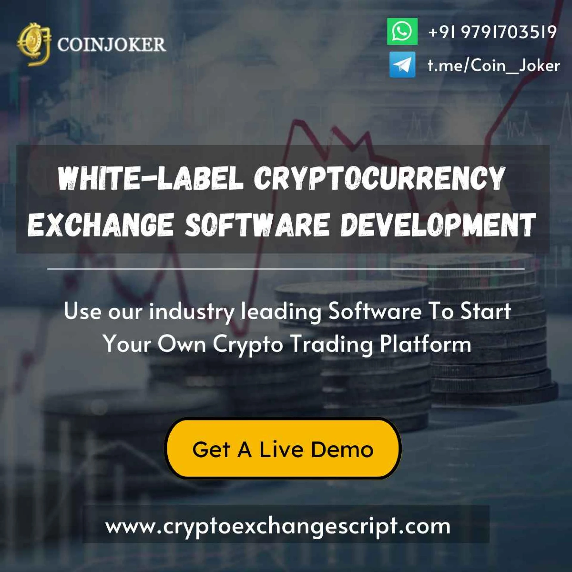 How to Choose the Right Whitelabel Crypto Exchange Software for Your Business?