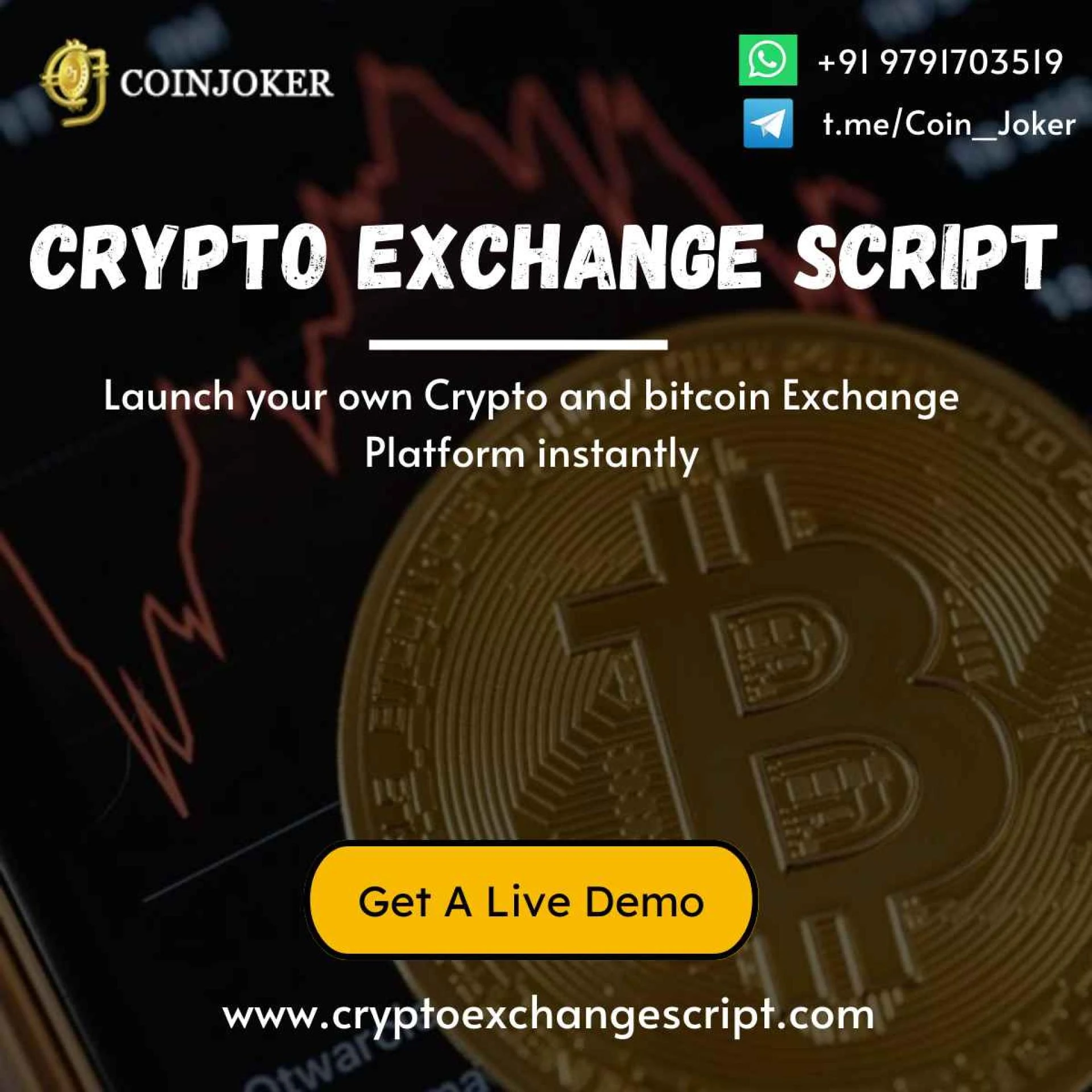 The Pros and Cons of Using a White Label Cryptocurrency Exchange Script