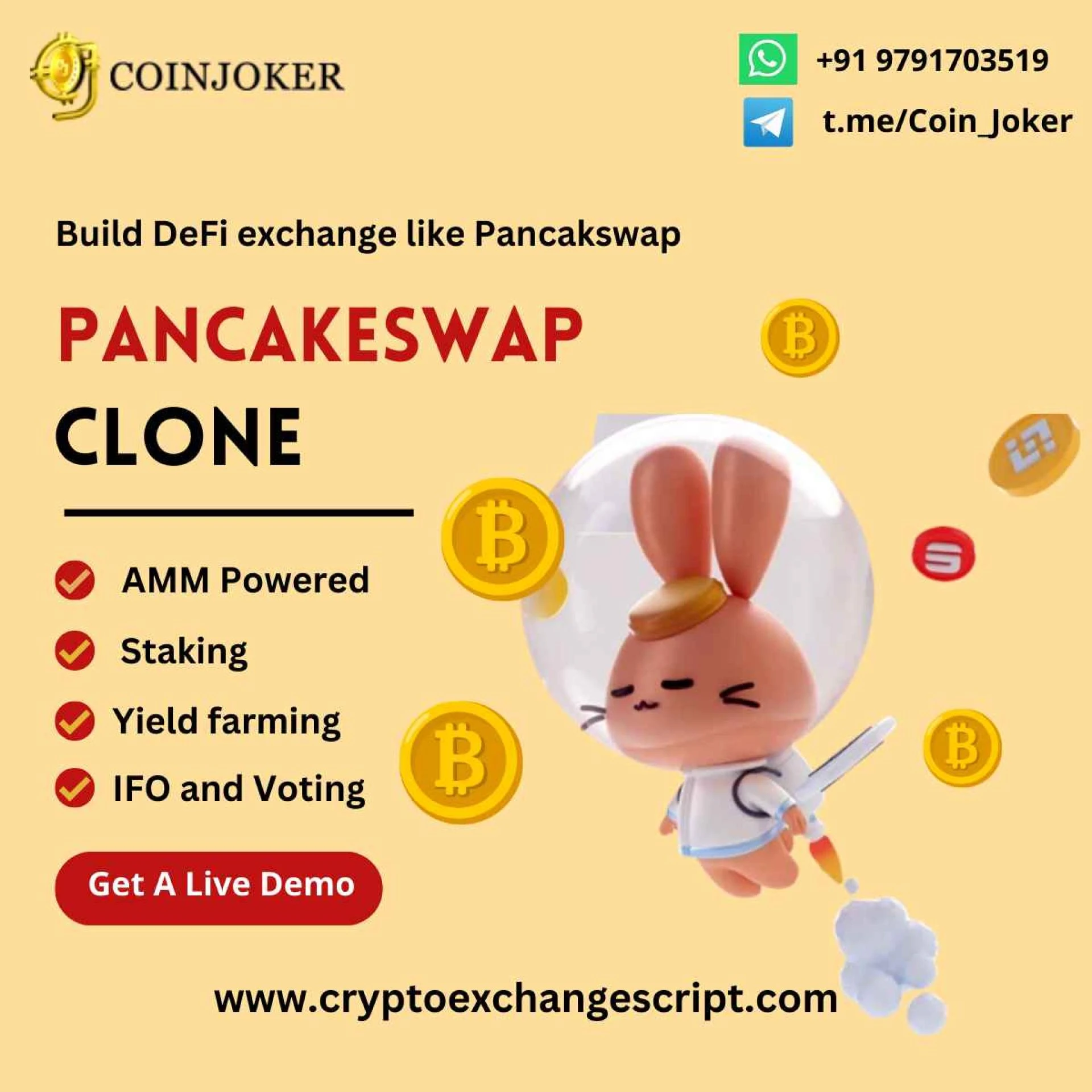 Step-by-step guide to launch your own Pancakeswap clone script