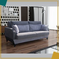 Order Affordable Price Stylish Soft Fabric Liwia Sofa Bed in the