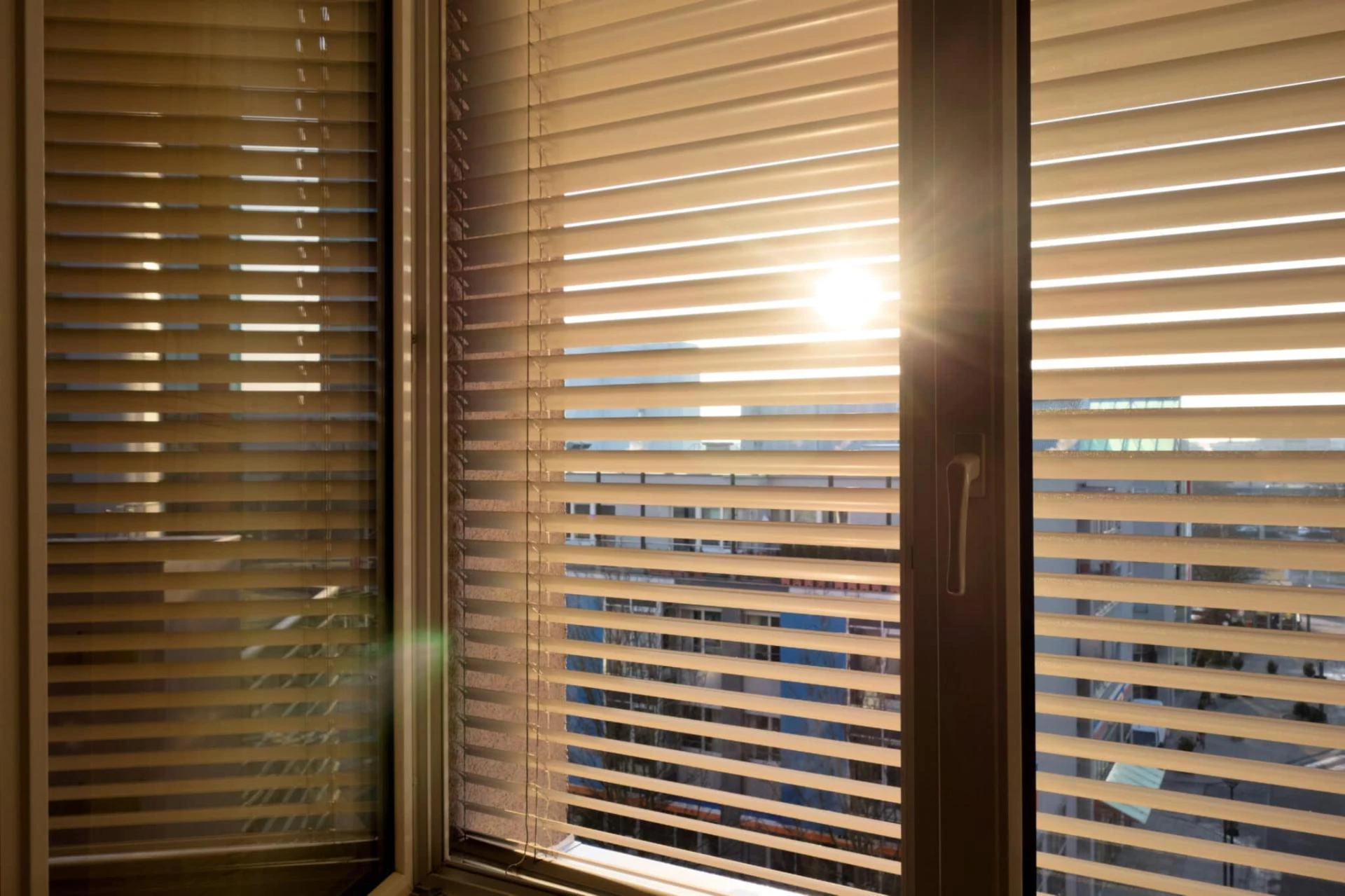 The Best Blinds for Offices and Small Businesses