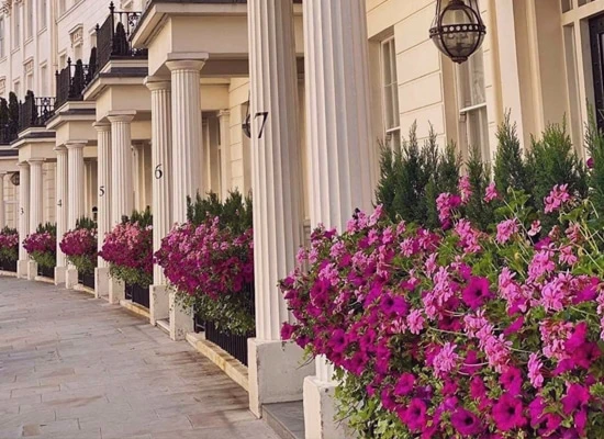 تأسيس شركة في بريطانيا