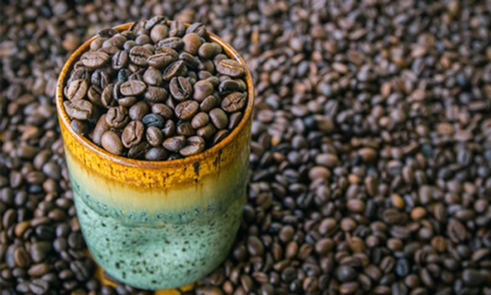 Organic Coffee Market Share, Growth, Analysis, Demand and Forecast 2021 to 2026