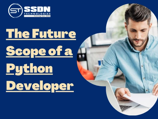 The Future Scope of a Python Developer