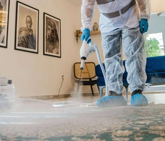 Taylorsville Carpet Cleaning Experts
