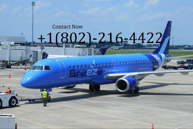 How do I speak to a live person at Breeze Airways by call or chat?