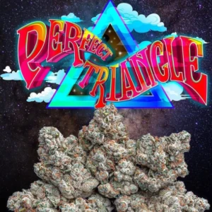 Jungle Boys Dominates the U.S Cannabis Market