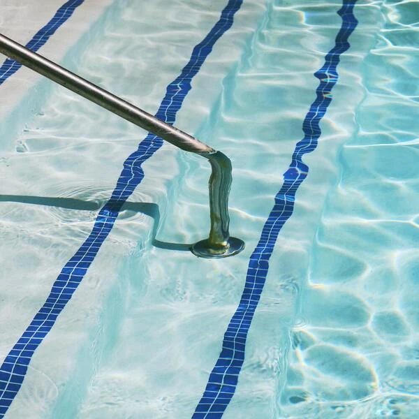Top 6 Costly Mistakes Swimming Pool Owners Makes