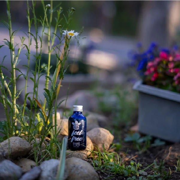 3 Ways to Prepare for a Restful Night of Sleep