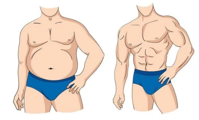 Anavar Kaufen: The Game-Changer in Building a Strong and Toned Body