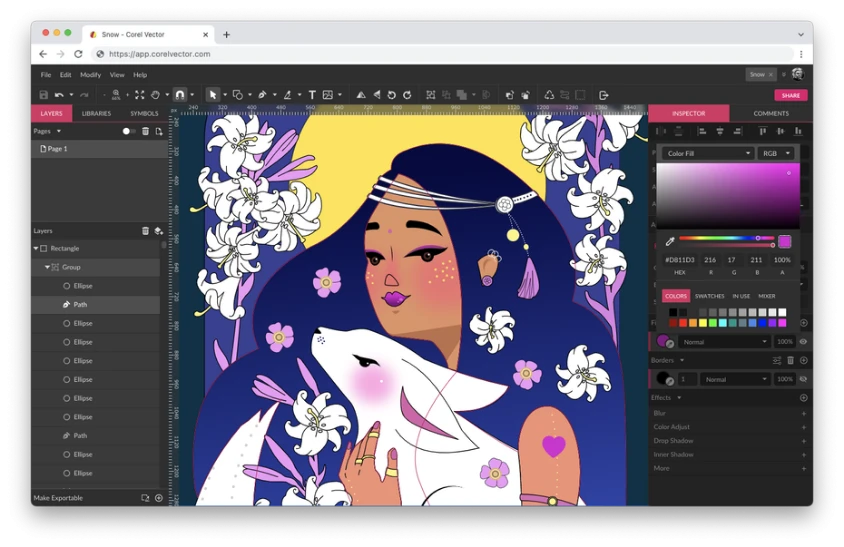 WHICH SOFTWARE IS BEST FOR VECTOR DESIGNING?