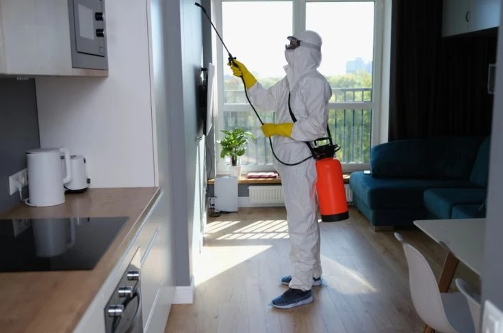 Why You Need Pest Control Service In Reservoir?