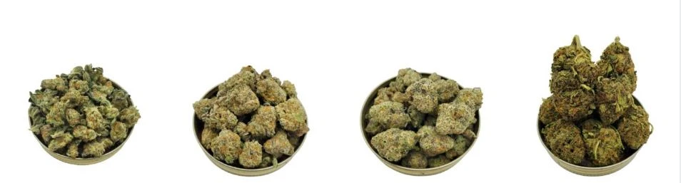 Best Online Weed Dispensary