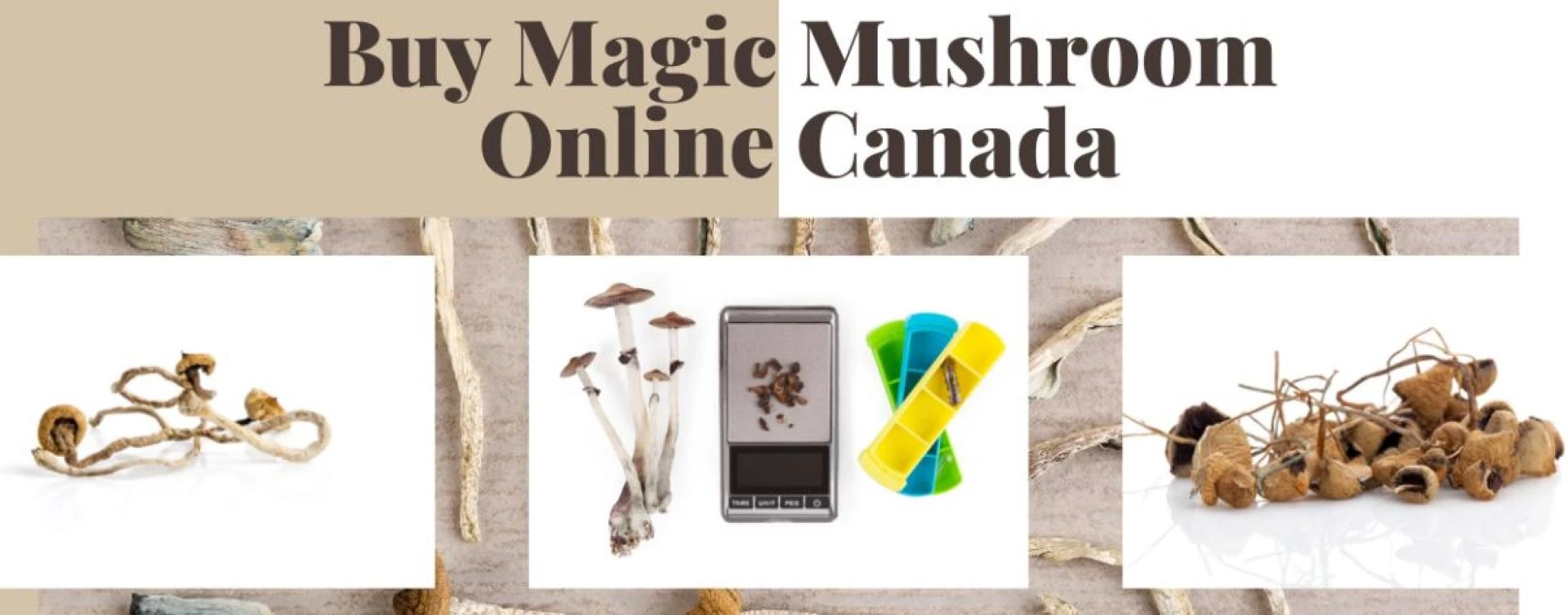 Magic Mushrooms Online