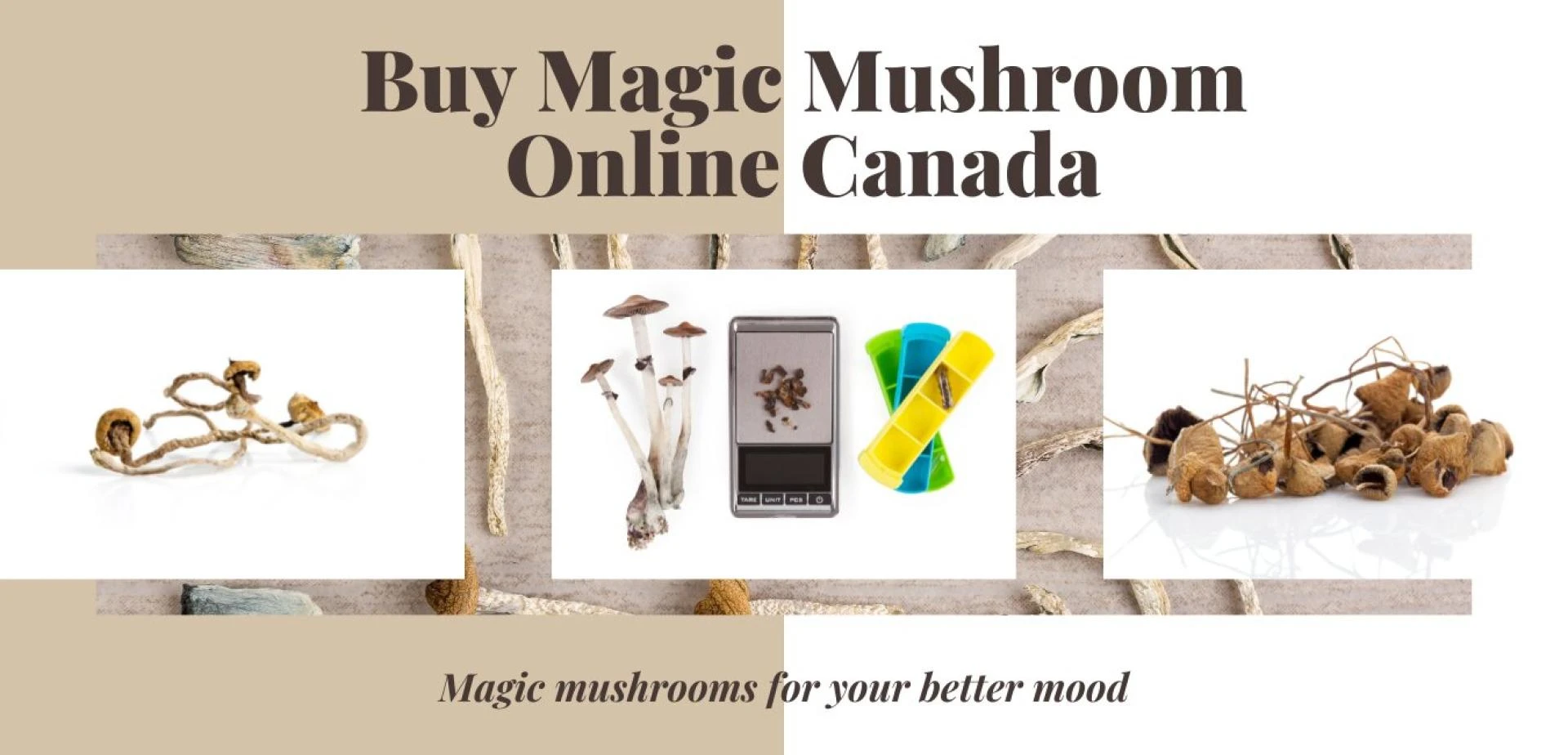Magic Mushrooms Online