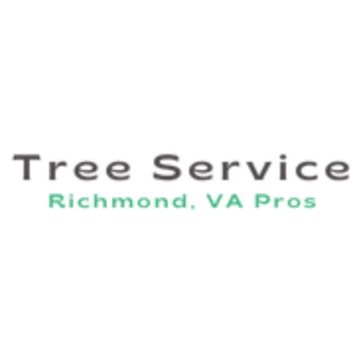 When You Should Look for Tree Removal Instead of Tree Trimming?