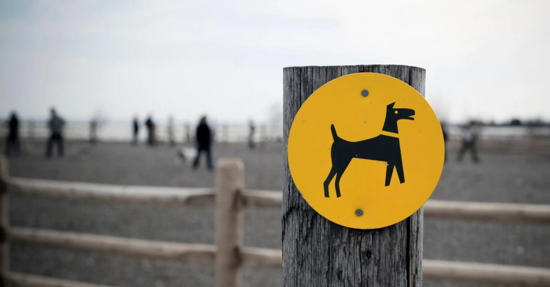 6 Essential Tips to Installing Fun and Safe Dog Park Equipment