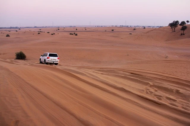 Experience Desert Safari in Dubai in 2023 for an adrenaline rush