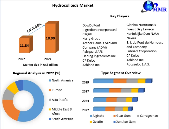 Hydrocolloids Market Research Depth Study, Analysis, Growth, Trends, Developments 2029
