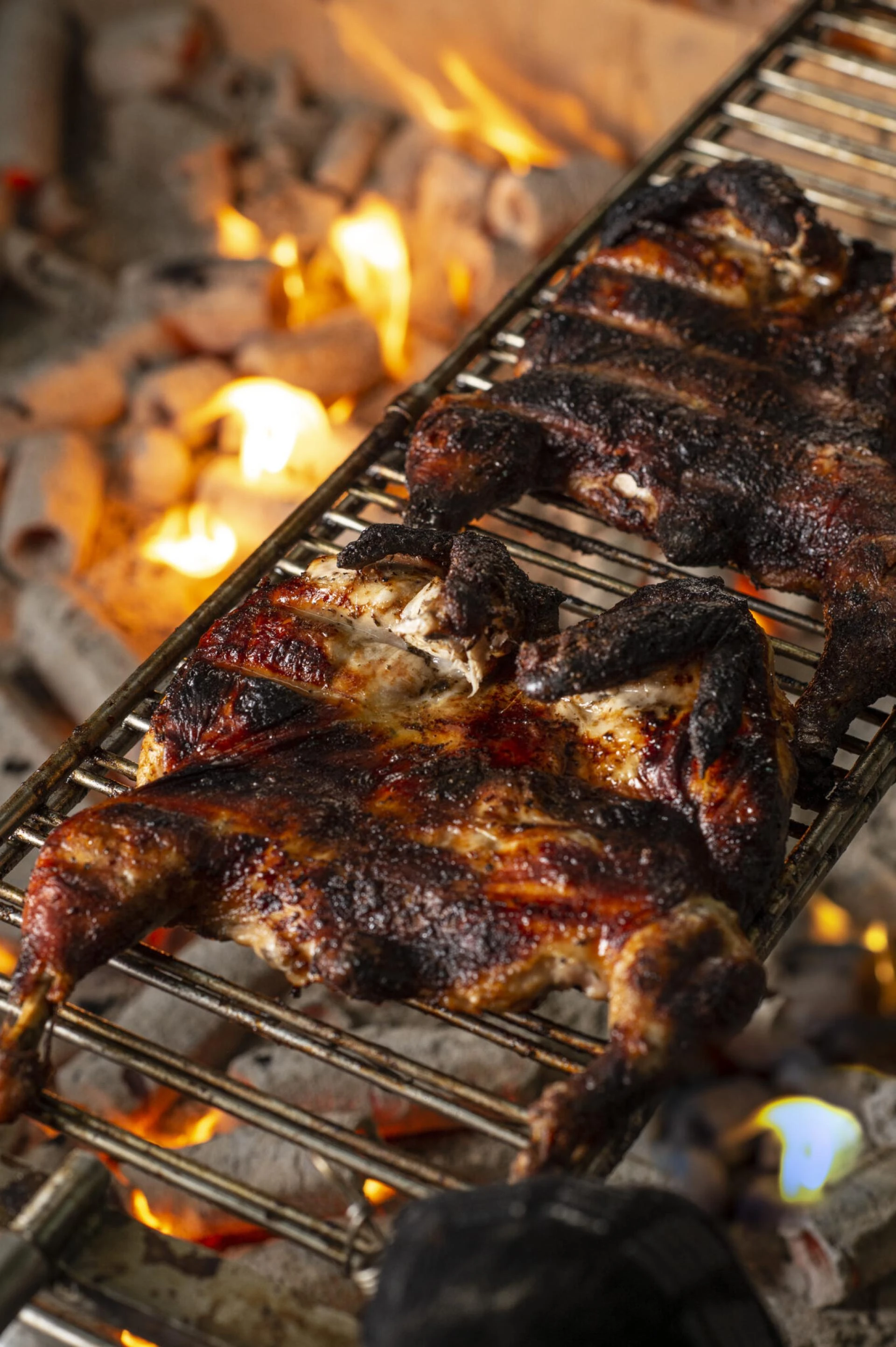 Save Time and Money: Shop for Chicken Charcoal Close to Home