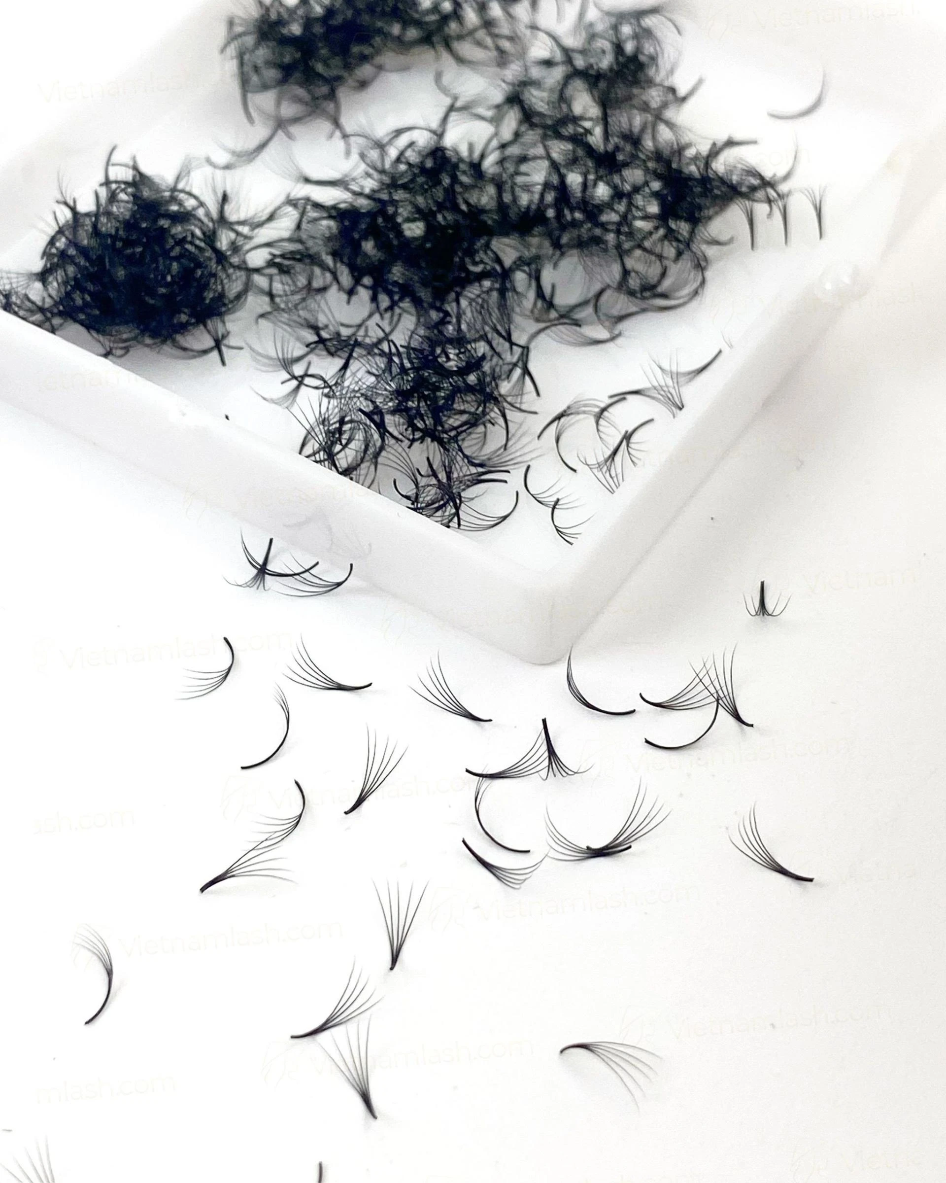 The Beauty Secret Unveiled: Narrow Promade Fans by Vietnam Lash