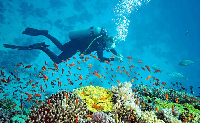 Scuba Diving in Andaman - The Best Adventure to Experience