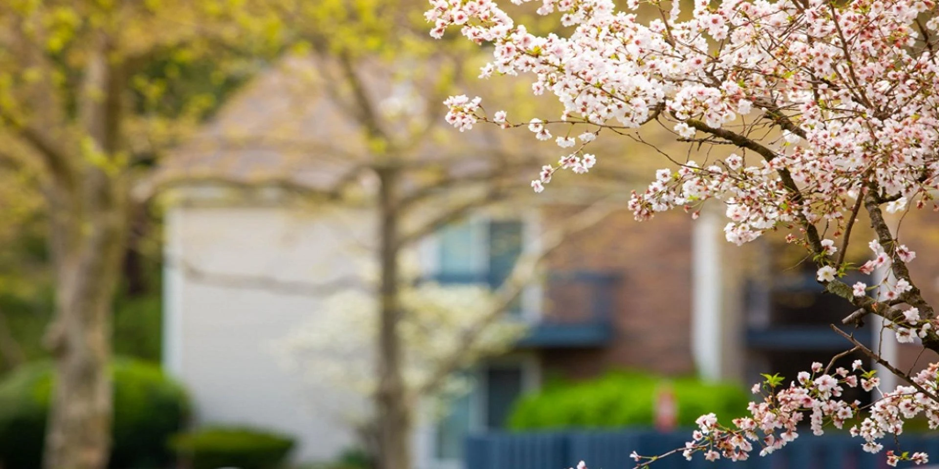 Preparing to Build a New Home in Heritage Pointe