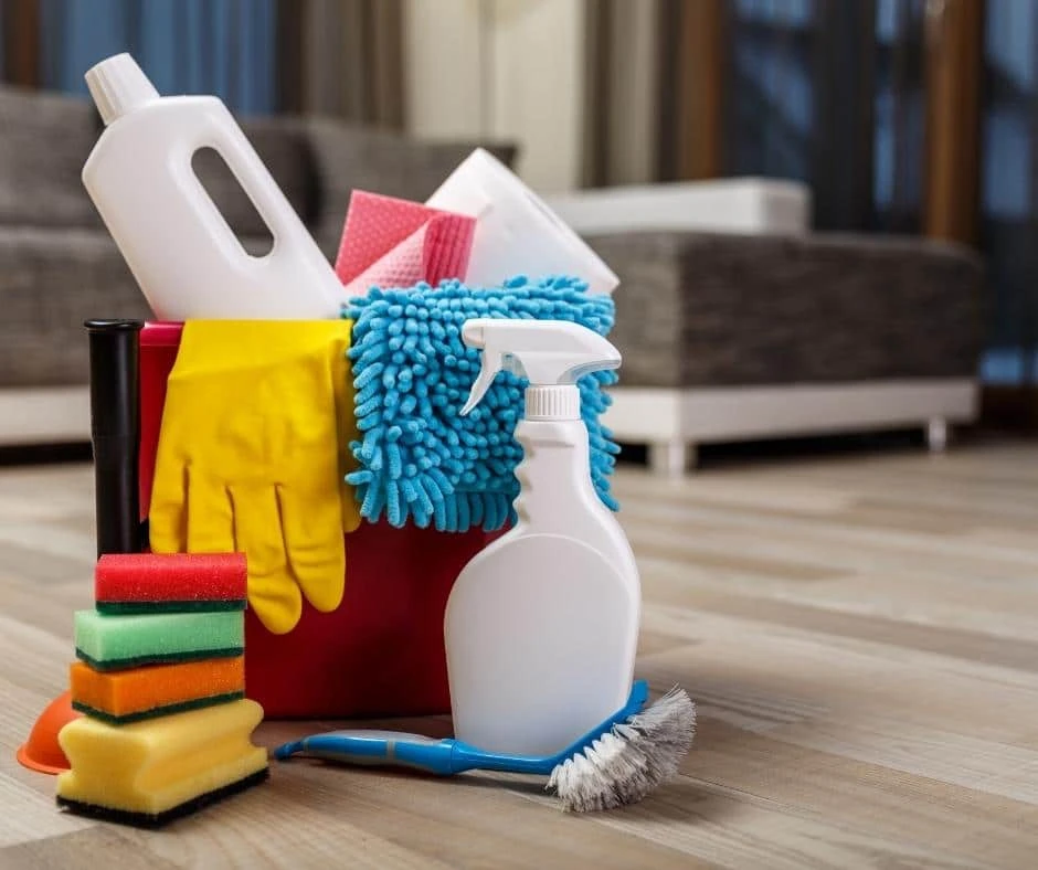 Why Choose Bond Back Cleaning Services?
