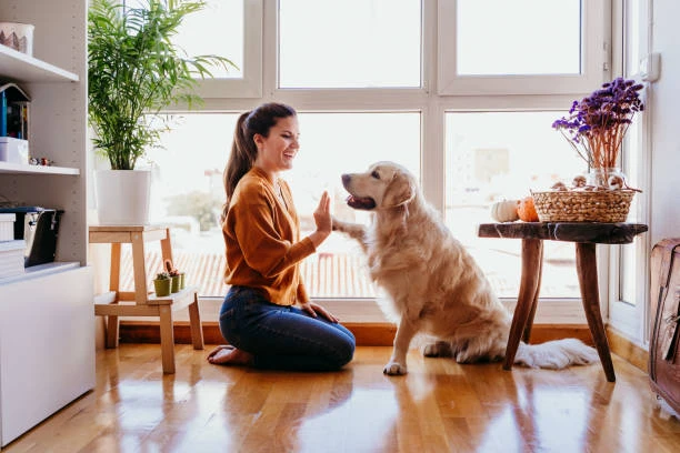 Why Should Hire In-Home Pet Sitting Service?