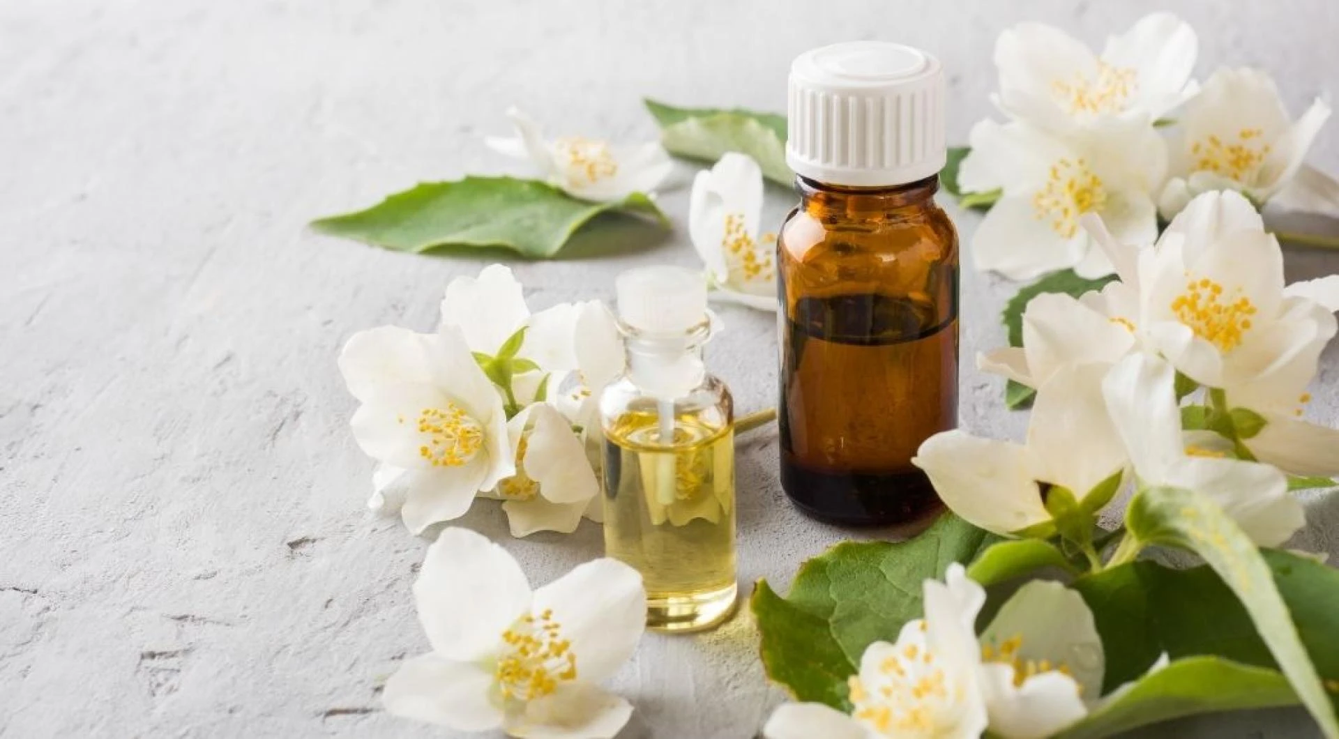 Jasmine Oil The King Of Essential Oil