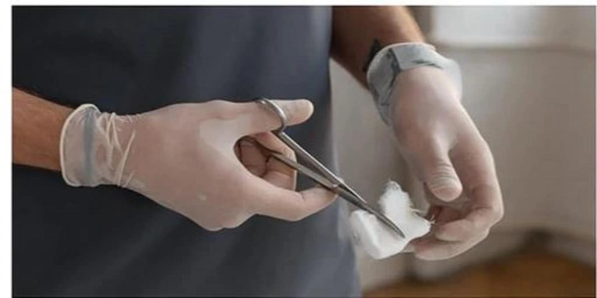 Dog Breeding Supplies Every Breeder Needs