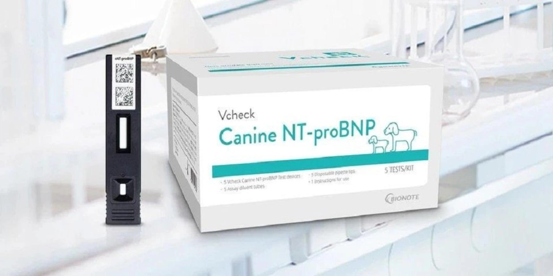 Brucellosis Test For Dogs: What It Is &amp; Why It’s Important