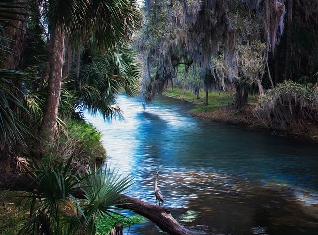 9 Amazing Florida Adventures You'll Remember for a Lifetime