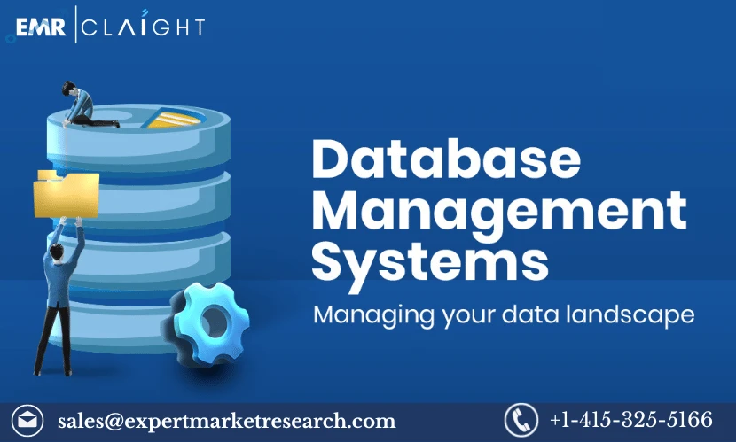 Demystifying Database Management System (DBMS) Market Trends: A Simple Guide